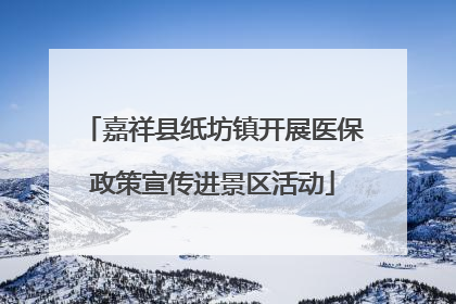 嘉祥县纸坊镇开展医保政策宣传进景区活动