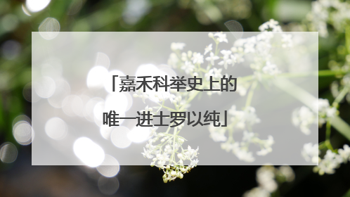 嘉禾科举史上的唯一进士罗以纯