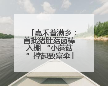 嘉禾普满乡：首批猪肚菇菌棒入棚 “小蘑菇”撑起致富伞