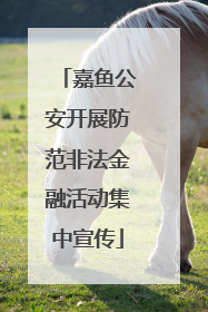 嘉鱼公安开展防范非法金融活动集中宣传