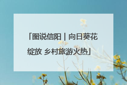 图说信阳｜向日葵花绽放 乡村旅游火热