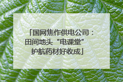 国网焦作供电公司：田间地头“电课堂” 护航药材好收成
