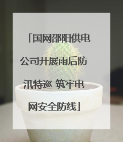 国网邵阳供电公司开展雨后防汛特巡 筑牢电网安全防线