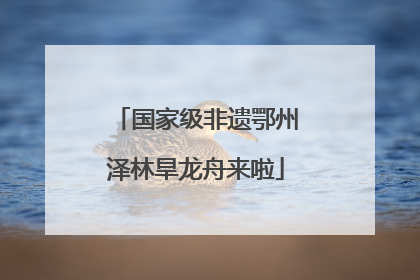 国家级非遗鄂州泽林旱龙舟来啦