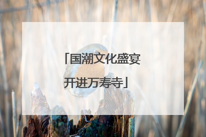 国潮文化盛宴开进万寿寺