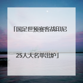 国足世预赛客战印尼25人大名单出炉