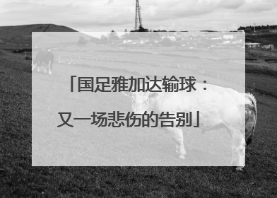 国足雅加达输球：又一场悲伤的告别