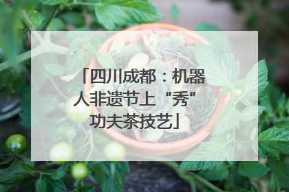 四川成都：机器人非遗节上“秀”功夫茶技艺