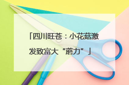 四川旺苍：小花菇激发致富大“蘑力”