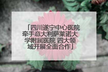四川遂宁中心医院牵手意大利萨莱诺大学附属医院 四大领域开展全面合作