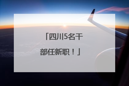 四川5名干部任新职！