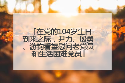 在党的104岁生日到来之际，尹力、殷勇、游钧看望慰问老党员和生活困难党员