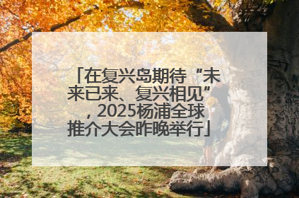在复兴岛期待“未来已来、复兴相见”，2025杨浦全球推介大会昨晚举行