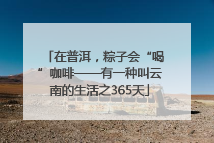 在普洱，粽子会“喝”咖啡——有一种叫云南的生活之365天