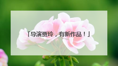 导演贾玲，有新作品！