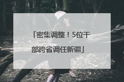 密集调整！5位干部跨省调任新疆