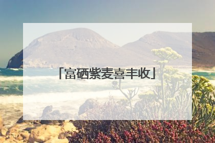 富硒紫麦喜丰收
