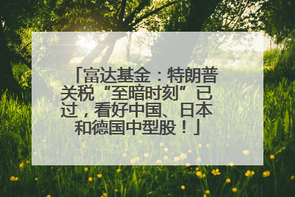 富达基金：特朗普关税“至暗时刻”已过，看好中国、日本和德国中型股！