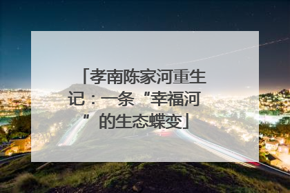 孝南陈家河重生记：一条“幸福河”的生态蝶变