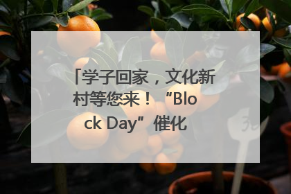 学子回家，文化新村等您来！“Block Day”催化学院式街区新生态