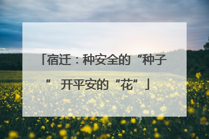 宿迁：种安全的“种子” 开平安的“花”