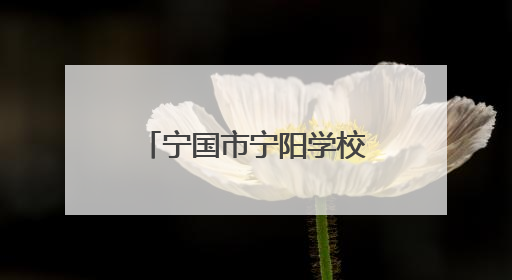 宁国市宁阳学校河沥校区举行“5・25 心理健康周”系列活动