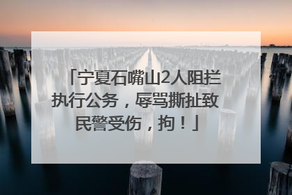 宁夏石嘴山2人阻拦执行公务，辱骂撕扯致民警受伤，拘！