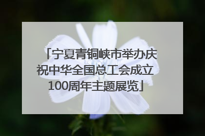 宁夏青铜峡市举办庆祝中华全国总工会成立100周年主题展览