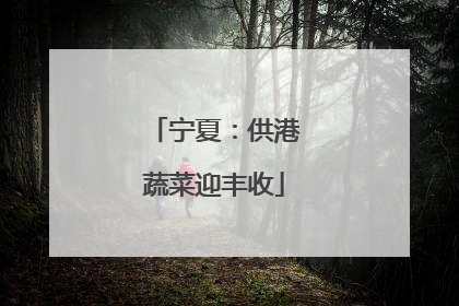 宁夏：供港蔬菜迎丰收