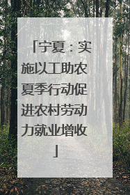 宁夏：实施以工助农夏季行动促进农村劳动力就业增收
