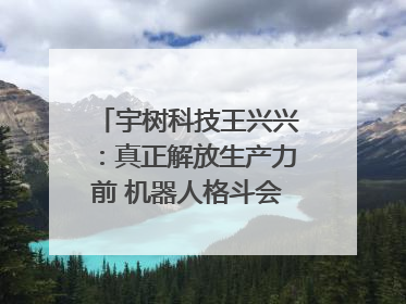 宇树科技王兴兴：真正解放生产力前 机器人格斗会成为全球受欢迎的赛事｜科技观察