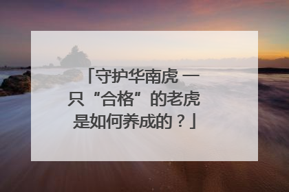 守护华南虎 一只“合格”的老虎是如何养成的？