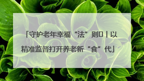 守护老年幸福“法”则⑮丨以精准监督打开养老新“食”代