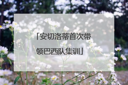 安切洛蒂首次带领巴西队集训