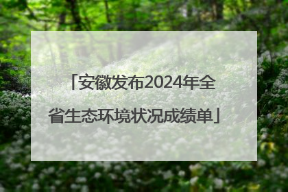 安徽发布2024年全省生态环境状况成绩单
