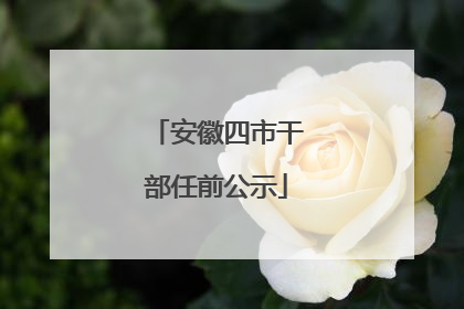 安徽四市干部任前公示