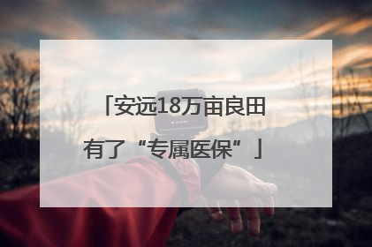 安远18万亩良田有了“专属医保”