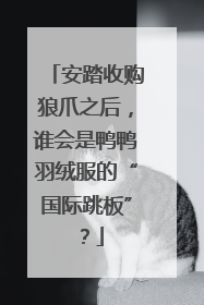 安踏收购狼爪之后，谁会是鸭鸭羽绒服的“国际跳板”？