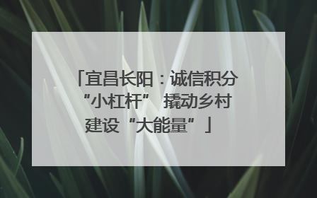 宜昌长阳：诚信积分“小杠杆” 撬动乡村建设“大能量”