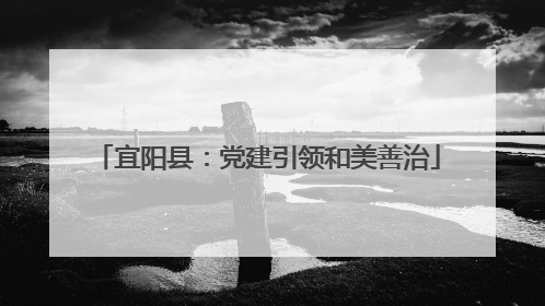 宜阳县：党建引领和美善治