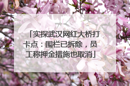 实探武汉网红大桥打卡点：围栏已拆除，员工称押金措施也取消