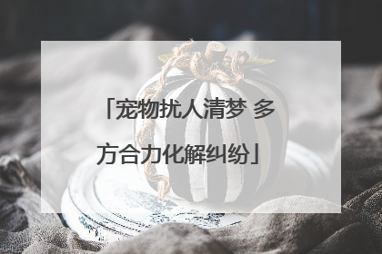 宠物扰人清梦 多方合力化解纠纷