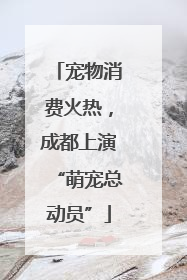 宠物消费火热，成都上演“萌宠总动员”