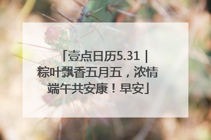 壹点日历5.31｜粽叶飘香五月五，浓情端午共安康！早安