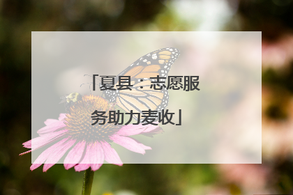 夏县：志愿服务助力麦收