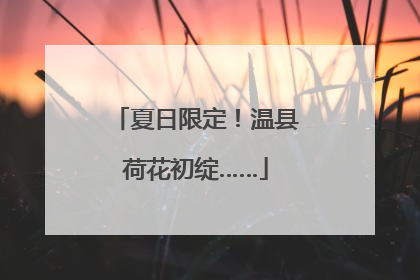 夏日限定！温县荷花初绽……