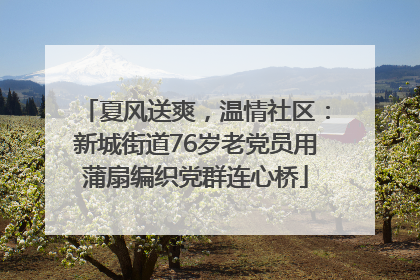 夏风送爽，温情社区：新城街道76岁老党员用蒲扇编织党群连心桥