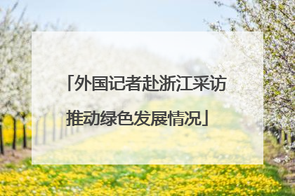 外国记者赴浙江采访推动绿色发展情况