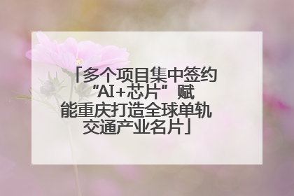 多个项目集中签约 “AI+芯片”赋能重庆打造全球单轨交通产业名片
