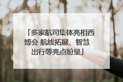 多家航司集体亮相西博会 航线拓展、智慧出行等亮点纷呈